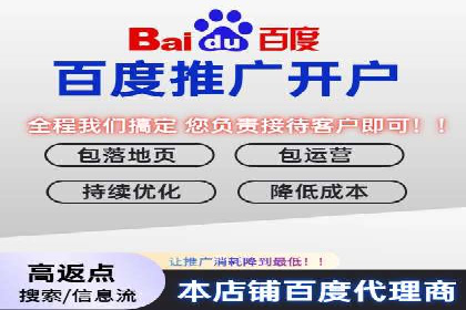 某企业通过百度竞价广告实现快速获客的实践